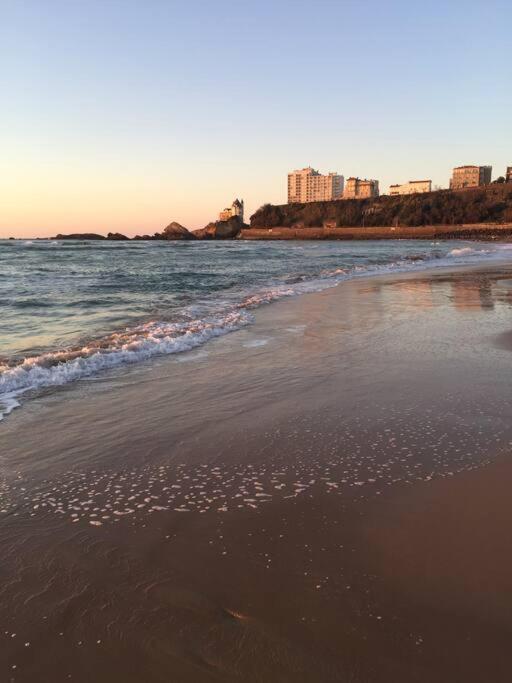 Appartement Cote Des Basques Biarritz Dış mekan fotoğraf